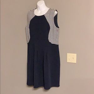 20W Enfocus Women fit and flare dress. Navy-white